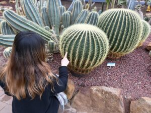 image_44609575_574750343335248247_1755409206906