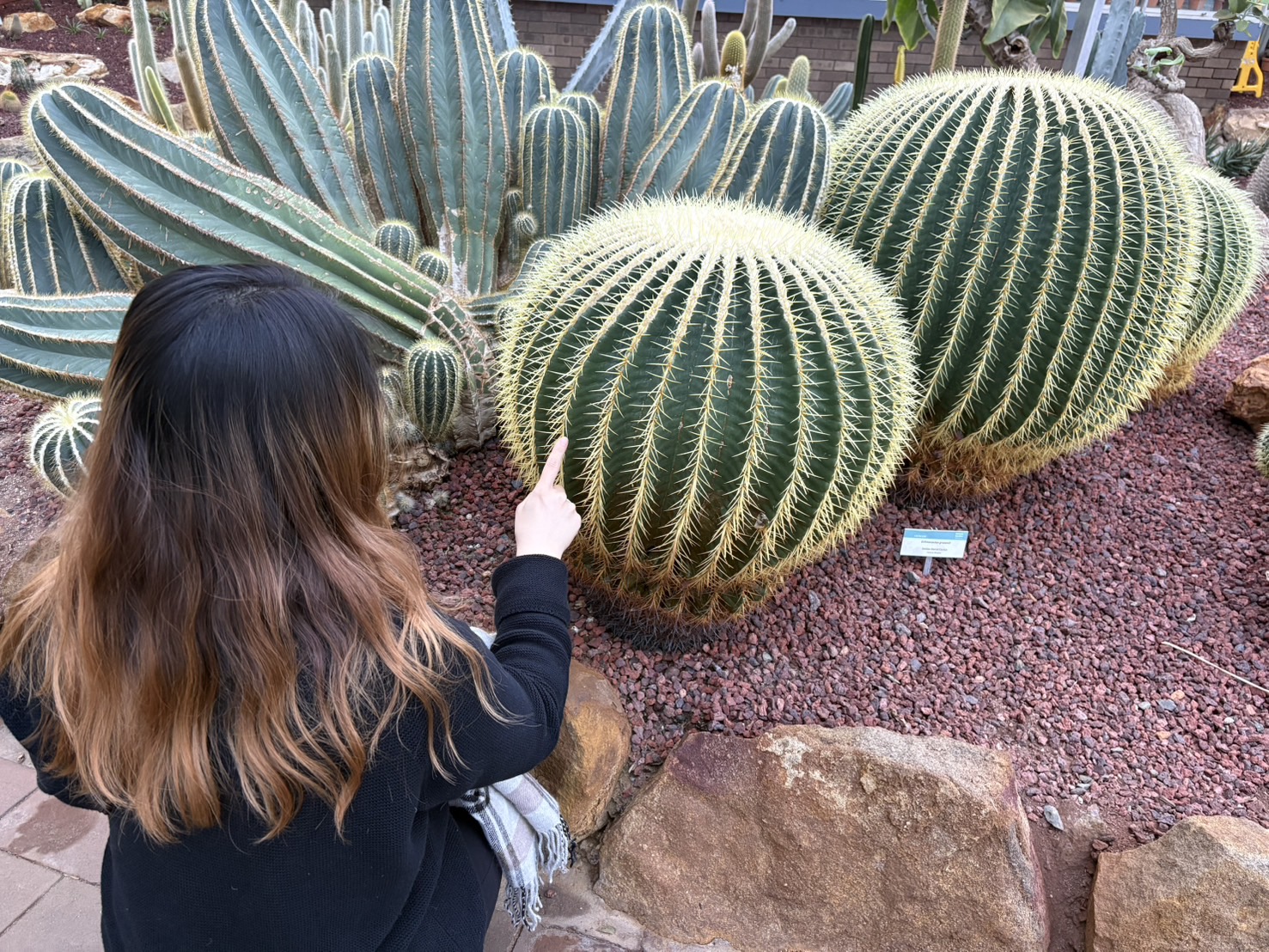 image_44609575_574750343335248247_1755409206906