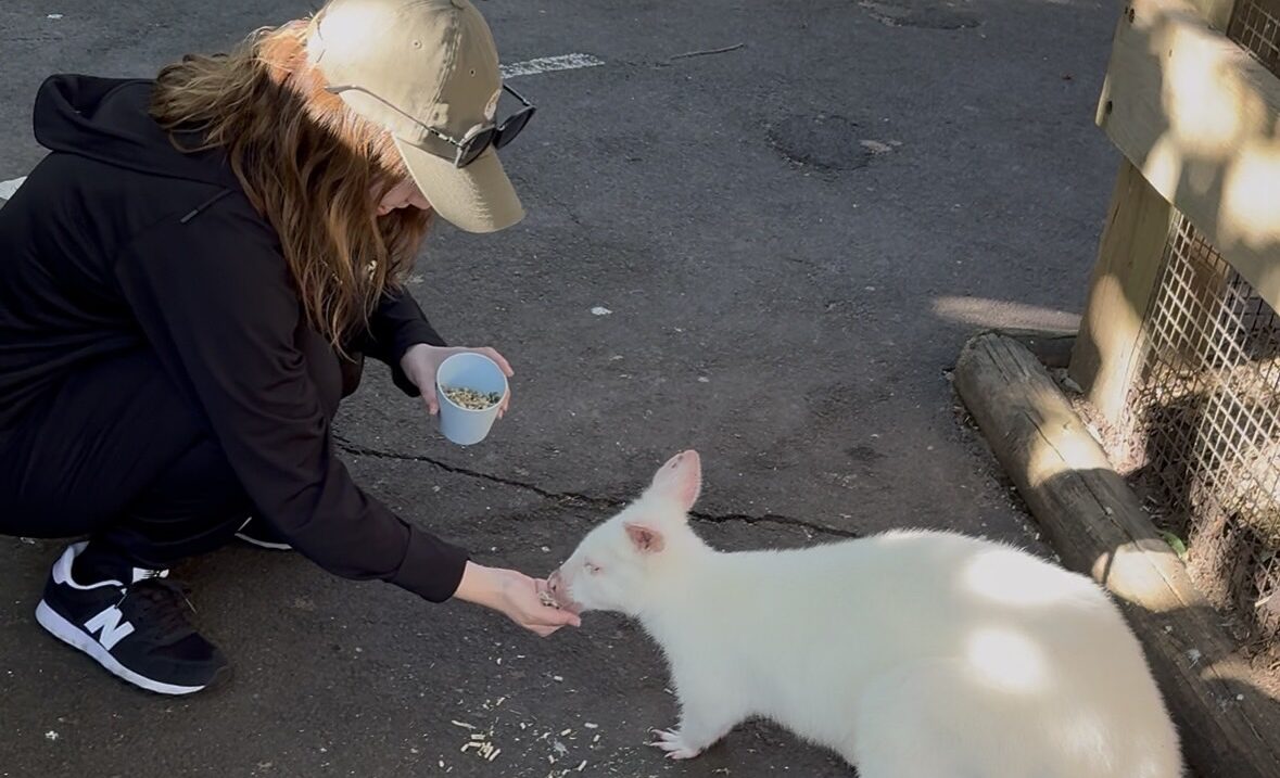 image_44609576_574750346422256078_1755409207407