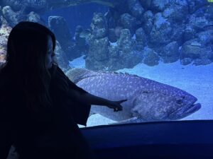 image_44609597_574750349794476084_1755409209476