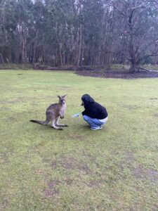 image_50190602_576398477627228195_1756391571476