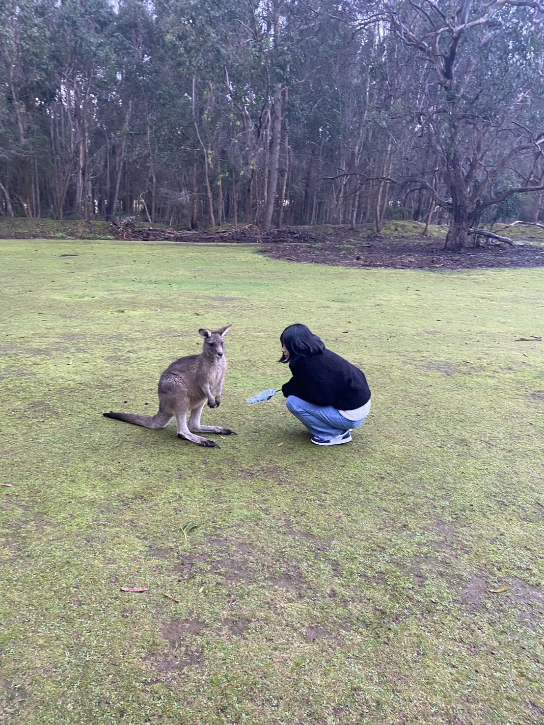 image_50190602_576398477627228195_1756391571476