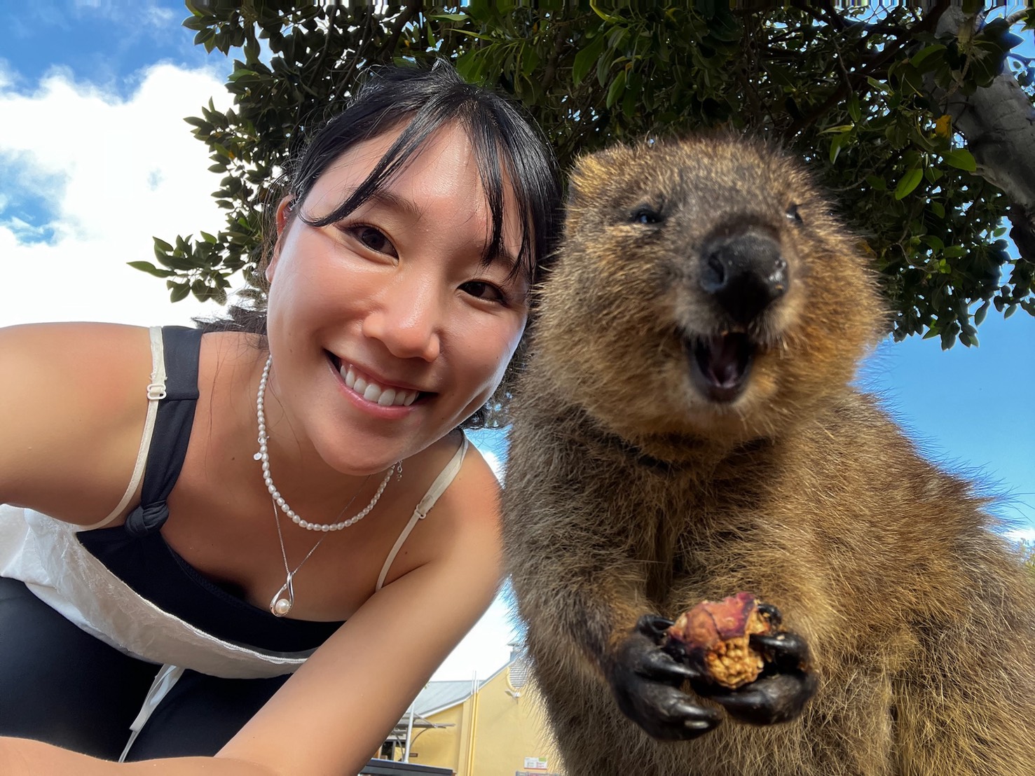 image_103548312_591175213941784691_1765199192636