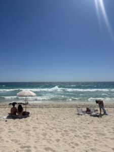 image_103548385_591175234779087157_1765199204262