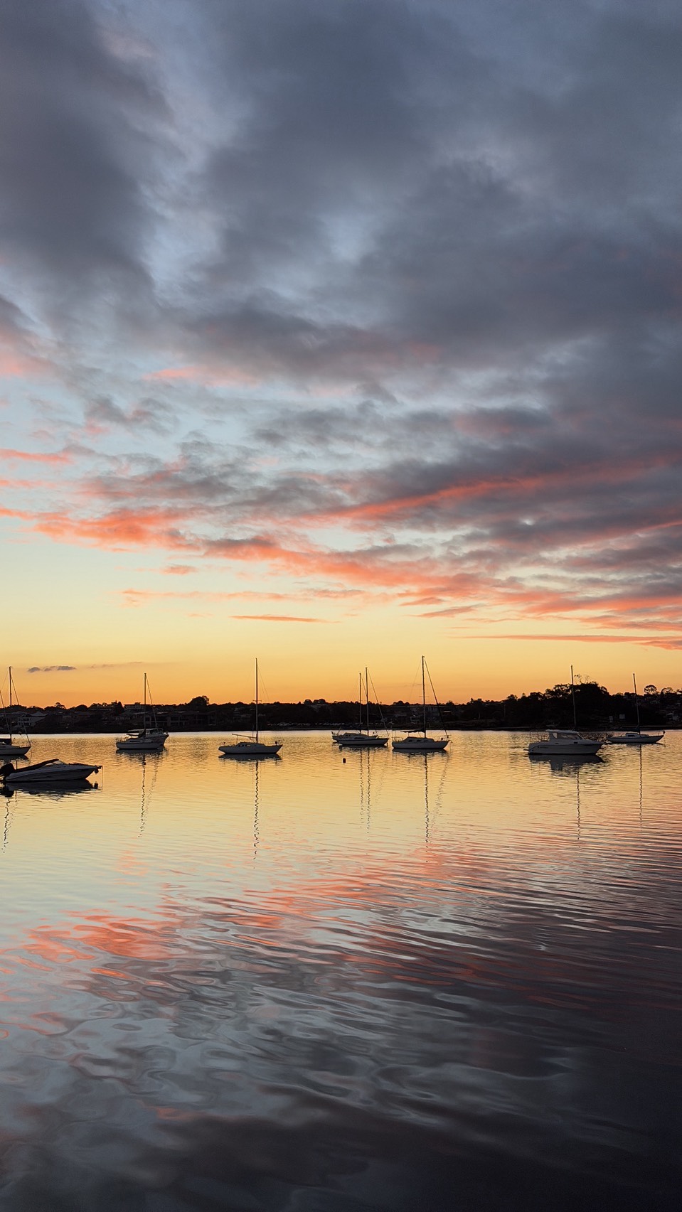 image_103548522_591175263837487530_1765199220896