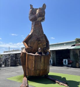 image_111008890_593298100631372219_1766464531442