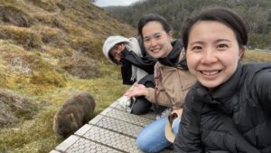 image_111008933_593298106100744264_1766464534670