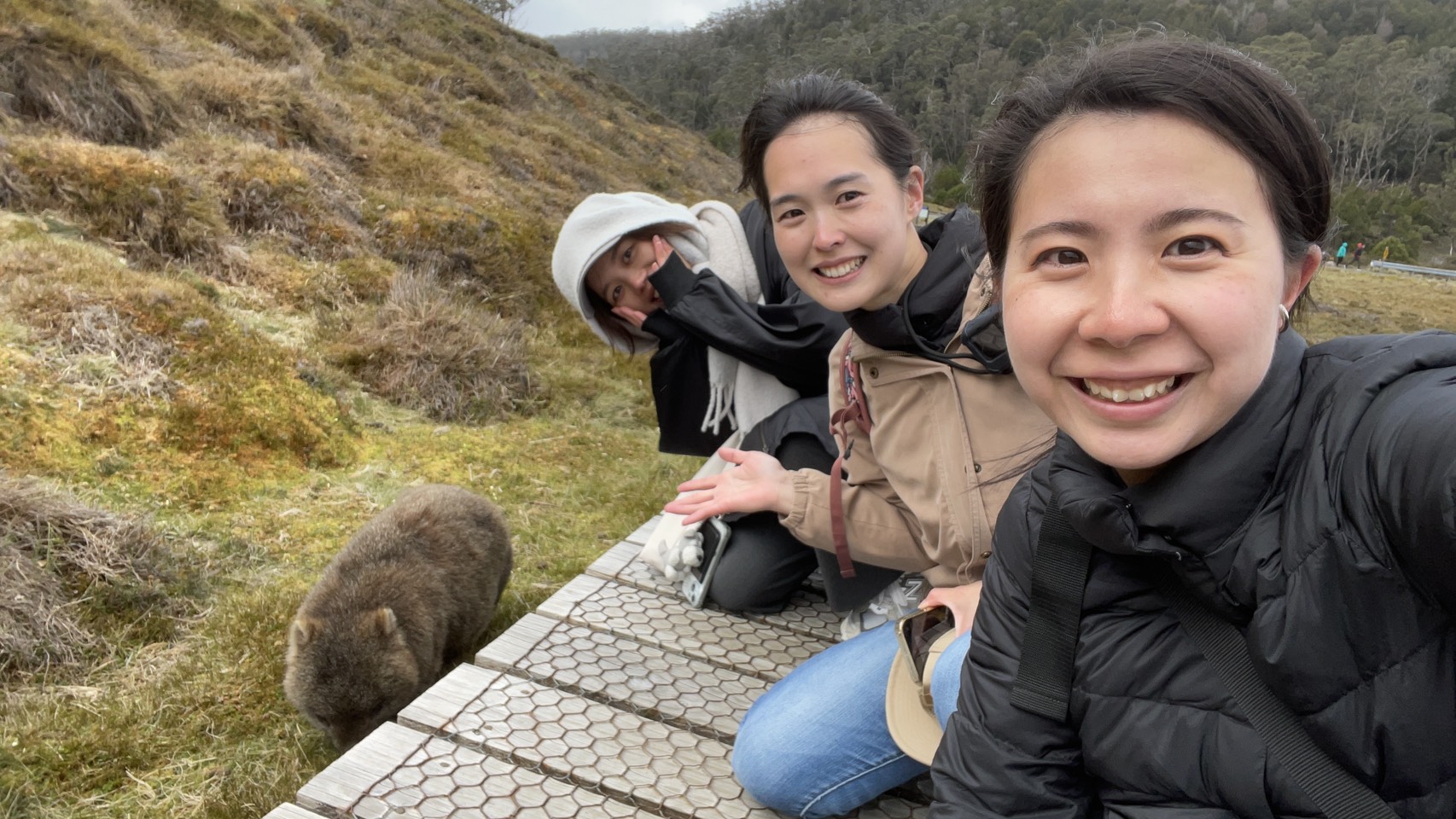 image_111008933_593298106100744264_1766464534670